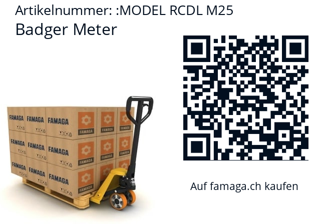   Badger Meter MODEL RCDL M25