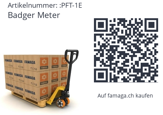   Badger Meter PFT-1E