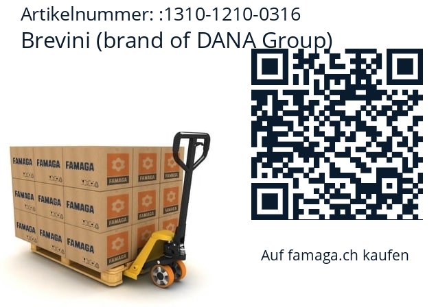   Brevini (brand of DANA Group) 1310-1210-0316