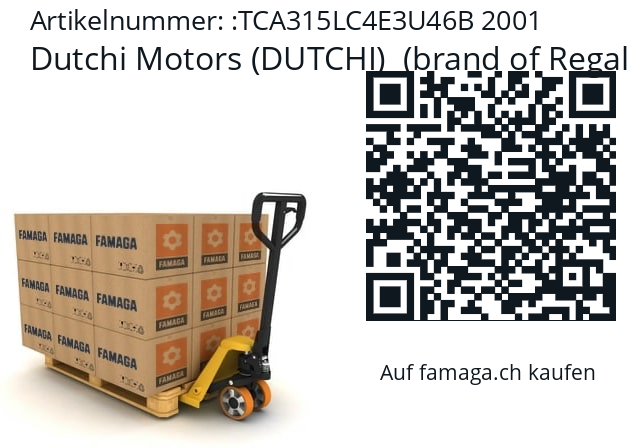  TCA315LC4E3U46 Dutchi Motors (DUTCHI)  (brand of Regal Beloit) TCA315LC4E3U46B 2001