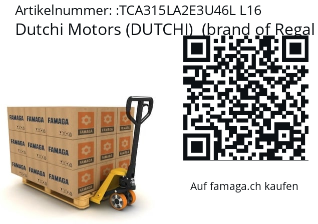   Dutchi Motors (DUTCHI)  (brand of Regal Beloit) TCA315LA2E3U46L L16
