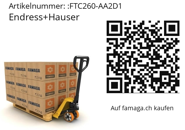   Endress+Hauser FTC260-AA2D1