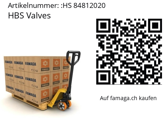  HBS Valves HS 84812020