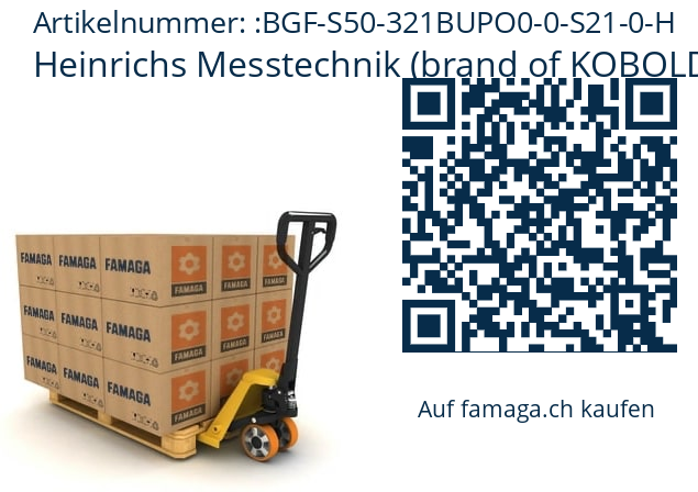   Heinrichs Messtechnik (brand of KOBOLD) BGF-S50-321BUPO0-0-S21-0-H