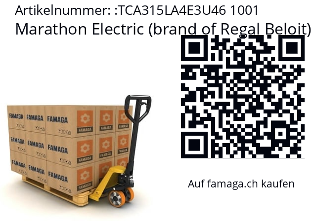   Marathon Electric (brand of Regal Beloit) TCA315LA4E3U46 1001
