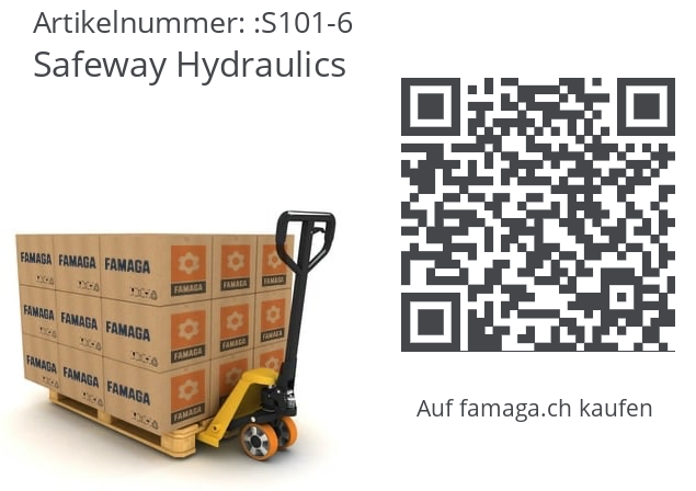   Safeway Hydraulics S101-6