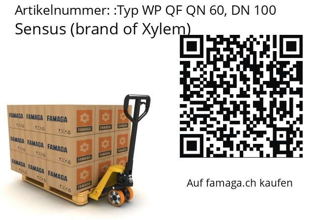   Sensus (brand of Xylem) Typ WP QF QN 60, DN 100