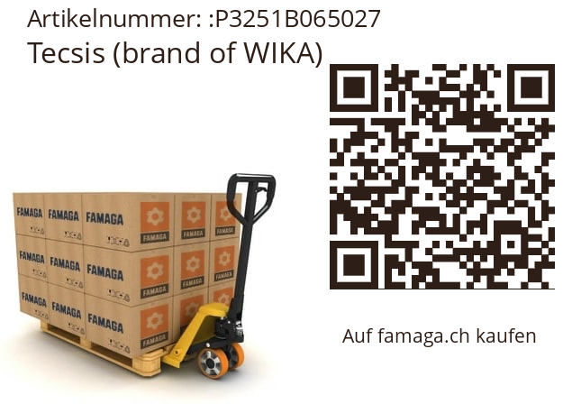   Tecsis (brand of WIKA) P3251B065027