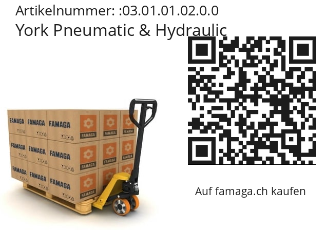   York Pneumatic & Hydraulic 03.01.01.02.0.0